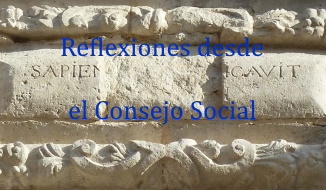 Reflexiones desde el Consejo Social
